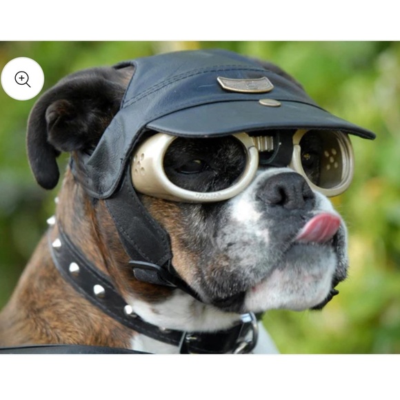 NEW IN PACKAGE Doggles ILS dog goggles size XL - Picture 4 of 5